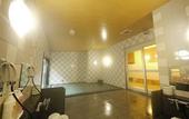 Туры в отель Hotel Route Inn Chiryu
