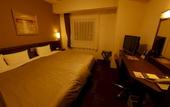 Туры в отель Hotel Route-Inn Seki