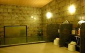 Туры в отель Hotel Route-Inn Seki