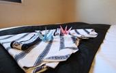 Туры в отель APA Hotel Tonami Ekimae