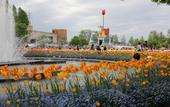 Туры в отель APA Hotel Tonami Ekimae