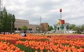 Туры в отель APA Hotel Tonami Ekimae