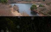 Туры в отель Hotel Izukogen Monogatari