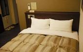 Туры в отель Hotel Route Inn Kanda Ekimae