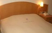 Туры в отель KOBE LUMINOUS HOTEL HYOGOEKIMAE