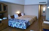 Туры в отель Furano Hops Hotel