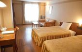 Туры в отель Furano Hops Hotel