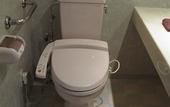 Туры в отель Furano Hops Hotel