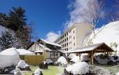 Туры в отель Manza Kogen Hotel