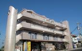 Туры в отель Ocean Resort PMC