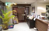 Туры в отель Ocean Resort PMC