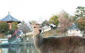 Туры в отель Nara Hakushikaso