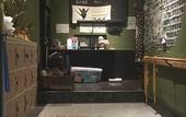 Туры в отель Hostel Yume Nomad
