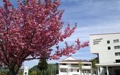 Туры в отель Tateyama Kokusai Hotel