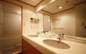 Туры в отель Wakamatsu Honten