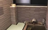 Туры в отель Hitoyoshi Onsen Nabeya