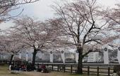 Туры в отель Hitoyoshi Onsen Nabeya