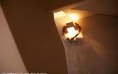 Туры в отель Untapped Hostel