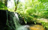 Туры в отель Yachi Onsen Spa