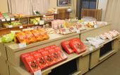 Туры в отель Yachi Onsen Spa