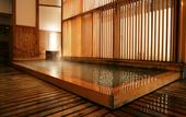 Туры в отель Ryokan Tanigawa