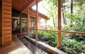 Туры в отель Ryokan Tanigawa