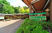 Туры в отель Ryokan Tanigawa