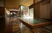 Туры в отель Ryokan Tanigawa