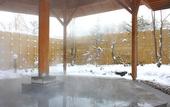 Туры в отель Hotel Ichii