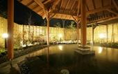 Туры в отель Hotel Ichii