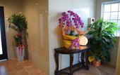 Туры в отель Wisteria Condominium Resort