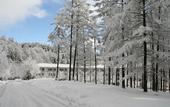 Туры в отель Azumino Hotaka View Hotel