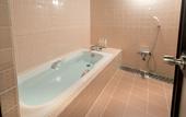 Туры в отель Azumino Hotaka View Hotel