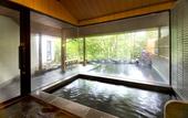 Туры в отель Azumino Hotaka View Hotel