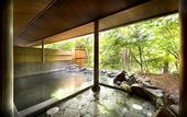 Туры в отель Azumino Hotaka View Hotel