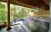 Туры в отель Azumino Hotaka View Hotel