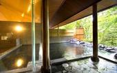 Туры в отель Azumino Hotaka View Hotel