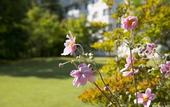 Туры в отель Azumino Hotaka View Hotel