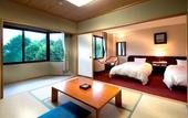 Туры в отель Azumino Hotaka View Hotel