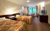 Туры в отель Azumino Hotaka View Hotel