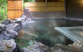 Туры в отель Azumino Hotaka View Hotel