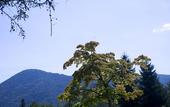 Туры в отель Azumino Hotaka View Hotel