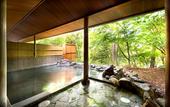 Туры в отель Azumino Hotaka View Hotel