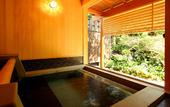 Туры в отель Ryokan Pinon