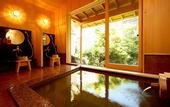 Туры в отель Ryokan Pinon