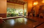 Туры в отель Ryokan Pinon