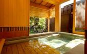 Туры в отель Ryokan Pinon