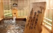 Туры в отель Joshinnosato Hibikino