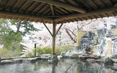 Туры в отель Miya Onsen Higaki Hotel