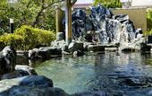 Туры в отель Miya Onsen Higaki Hotel